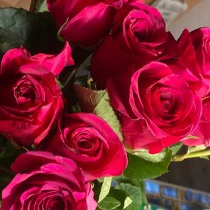 Meet your Posher, Morgan